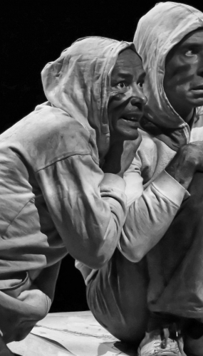 TSF-JBROUARD-forêt